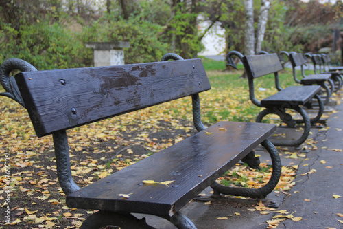 Benches in autumn park