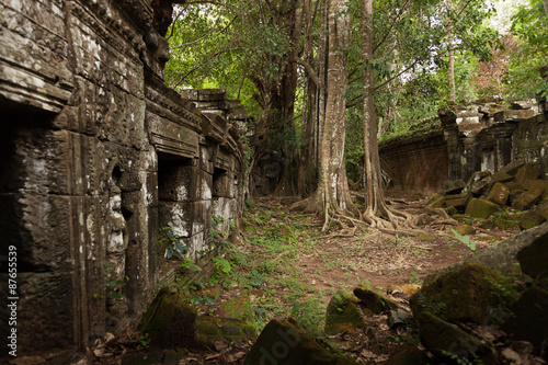 Angkorian temple in the jungle