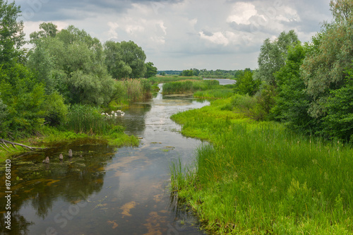Summer landscape with small river Kolomak, Poltavsk oblast, Ukraine
