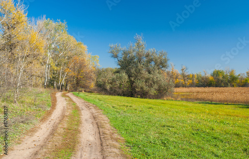 Fototapeta Naklejka Na Ścianę i Meble -  Autumnal landscape in central Ukraine near Dnepropetrovsk city