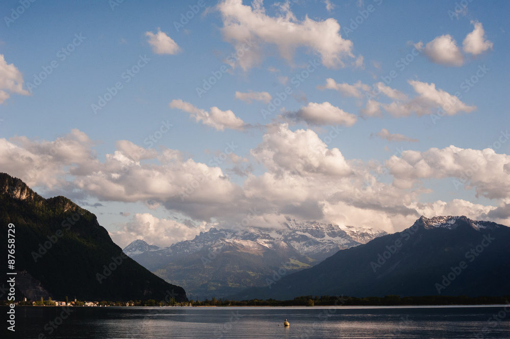 View on Alp mountain over Geneva lake
