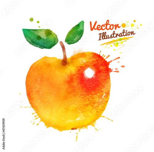 Watercolor apple.