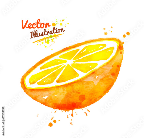 Watercolor half of an orange.