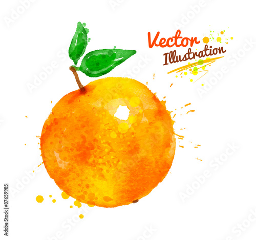 Watercolor orange.