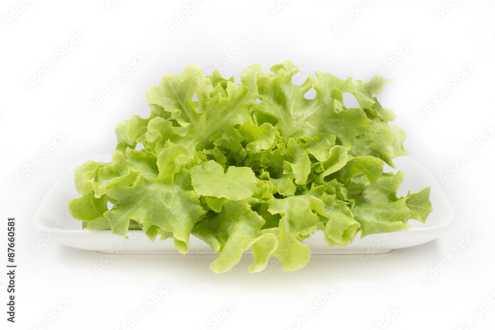 Fresh green oak lettuce salad on white disk on white background Fresh green oak lettuce salad on white disk on white background
