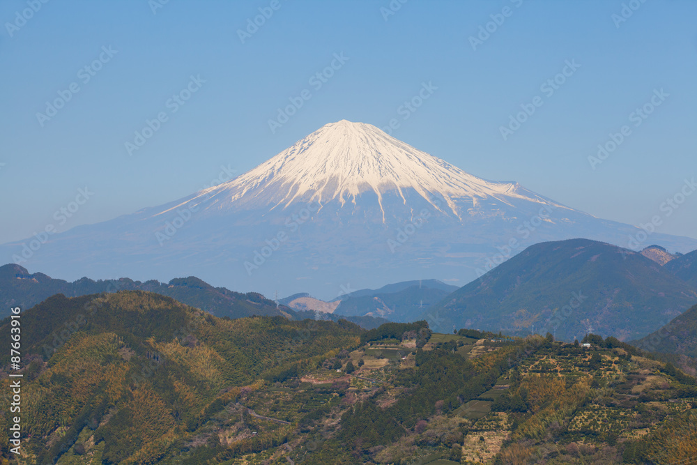 Obraz premium Góra Fuji w sezonie wiosennym w prefekturze Shizuoka