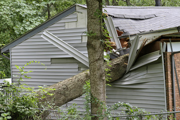 Keuken achterwand Onweer Omgevallen boom op klein huisje  © WideAwake