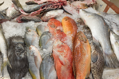 Fresh sea fish in Thailand market on ice for preserve.