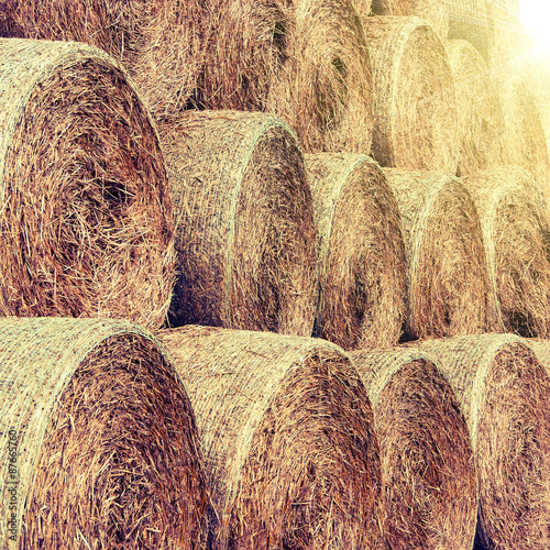 hay and straw bales in the end of summer