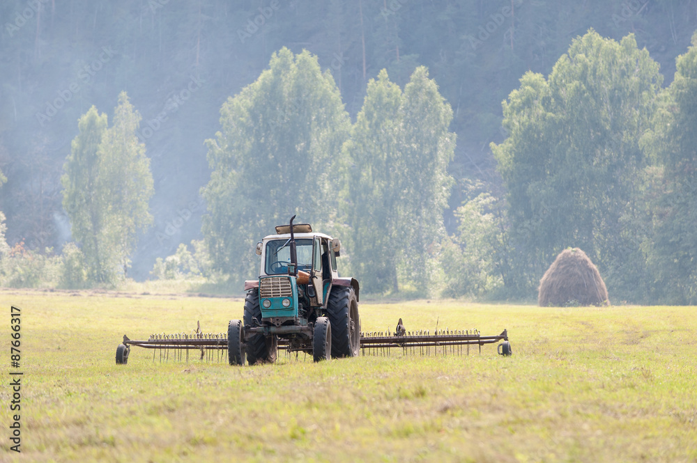 Fototapeta premium Tractor haymaking in the field