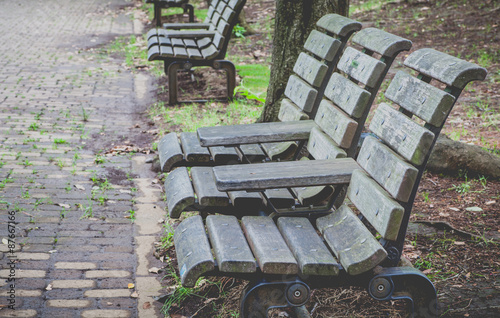 Wooden bench at pubic park in summer