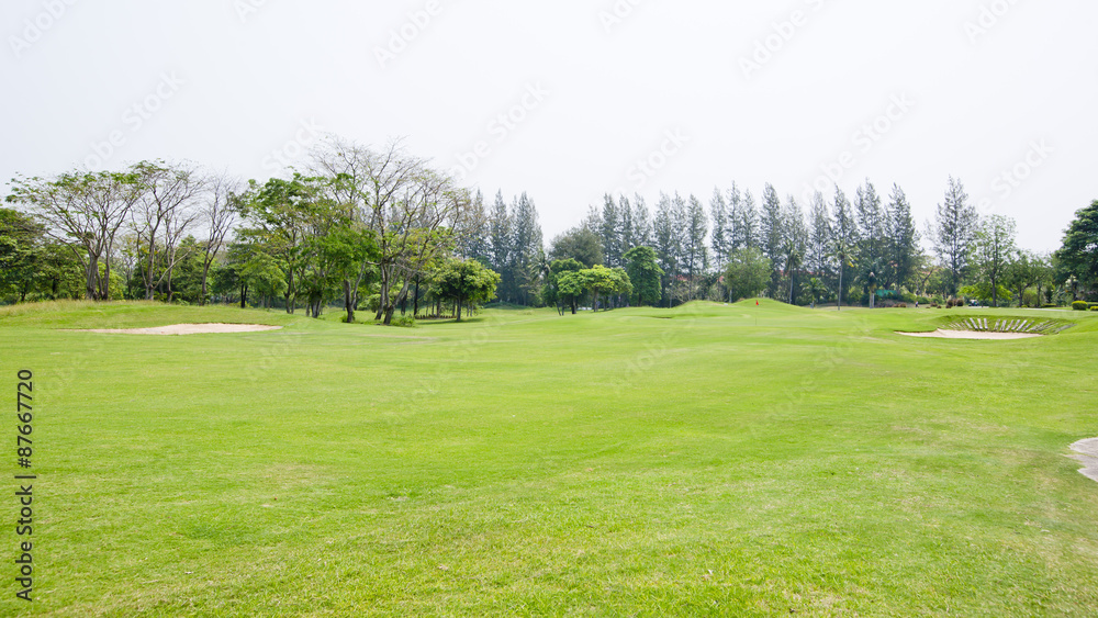 Fototapeta premium pole golfowe