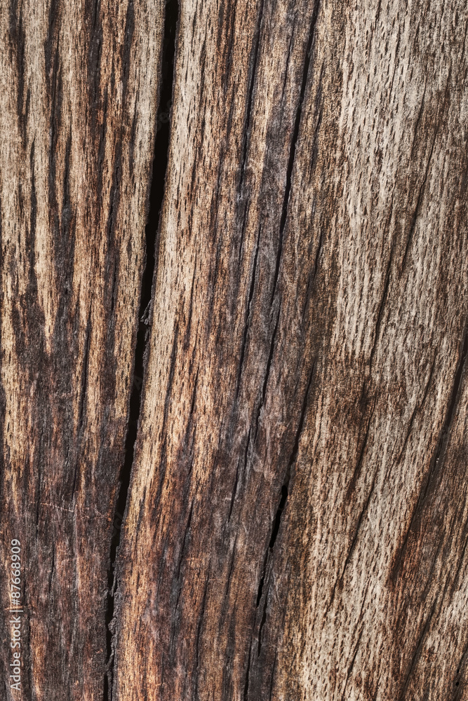 Old Weathered Rotten Cracked Wooden Beam Bituminous Surface Text Old Weathered Rotten Cracked Wooden Beam Bituminous Surface Text