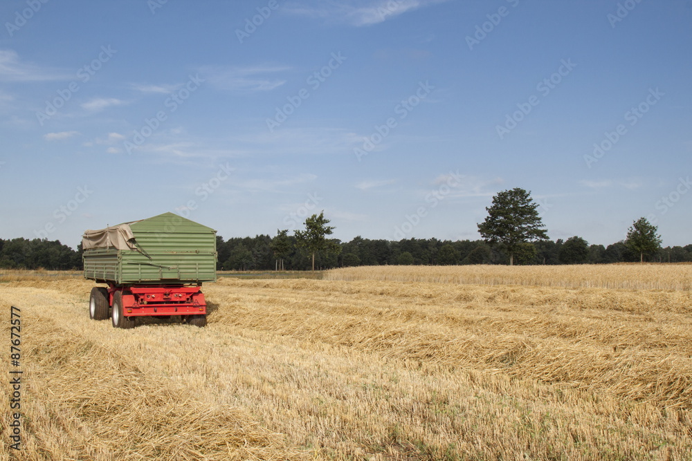 Fototapeta premium Erntezeit