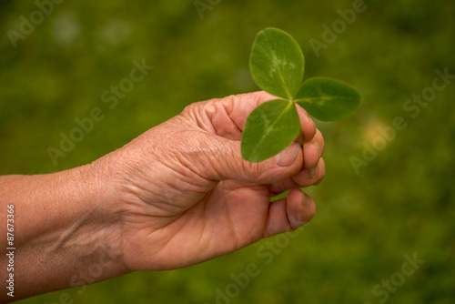 A womans hand picking a clover