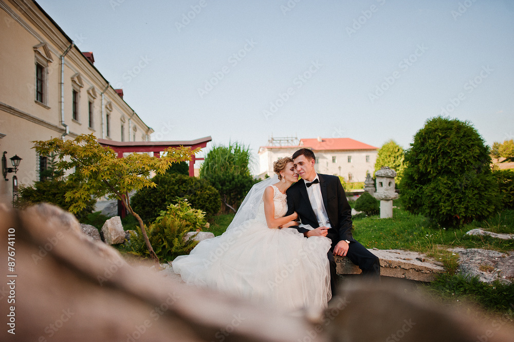 Groom and bride on the territory  exquisite castle