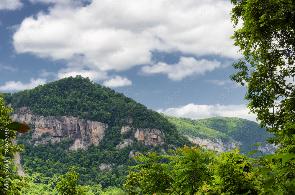 Mountain view from the Chimney rock state park. NC, US