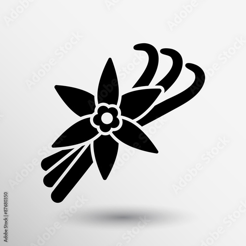 Vanilla flower and vanilla pods Vector Logo