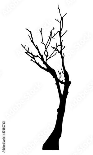 Tree vector