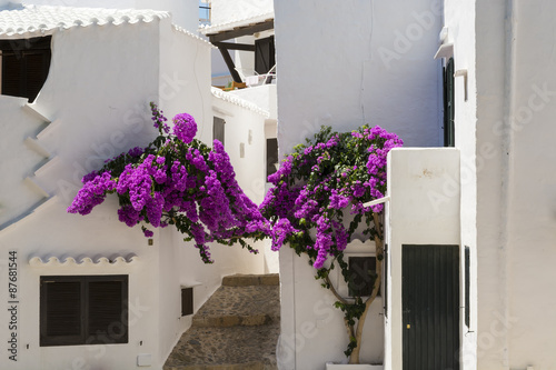 Vicolo con fiori di villaggio di pescatori photo