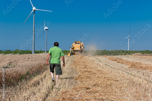man follow harvester to work in wheat field 