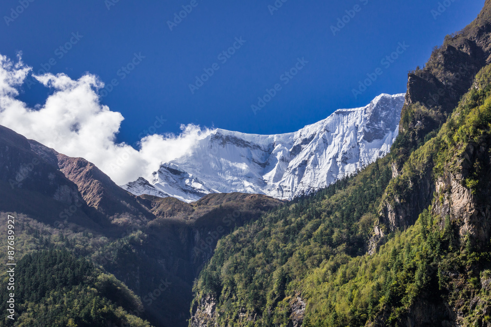 Fototapeta premium Snowy mountain peak between mountains and trees