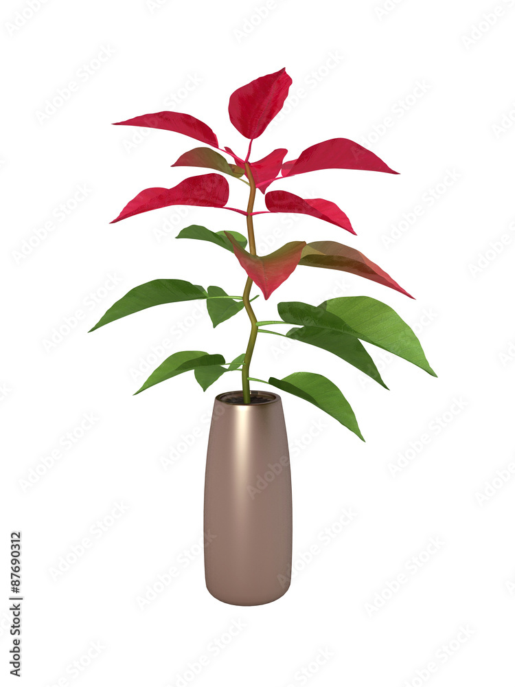 potted plant potted plant