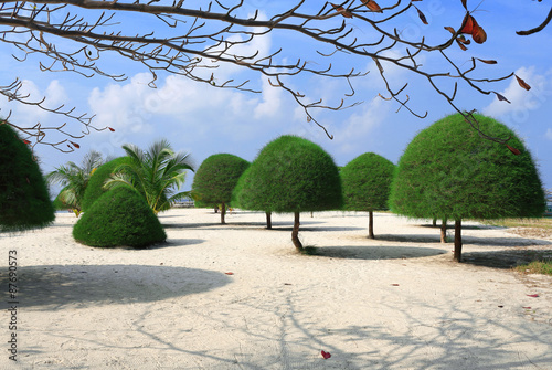 Canvas Print landscaping.Malibu sand beach on Koh Phangan island in Thailand