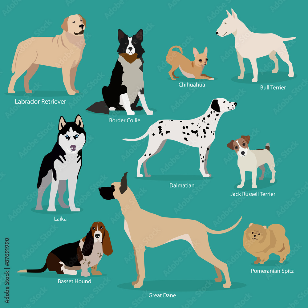Set of flat sitting or walking cute cartoon dogs. Popular breeds