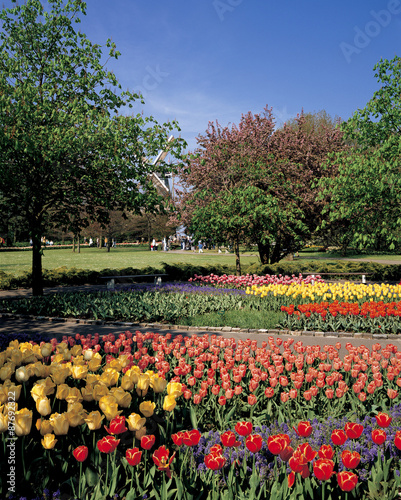 Wallpaper Mural オランダのキューケンホフ公園 Torontodigital.ca