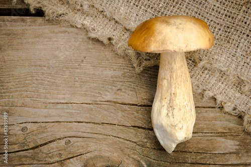 Boletus Mushroom on a wooden background. Autumn Cep Mushroom