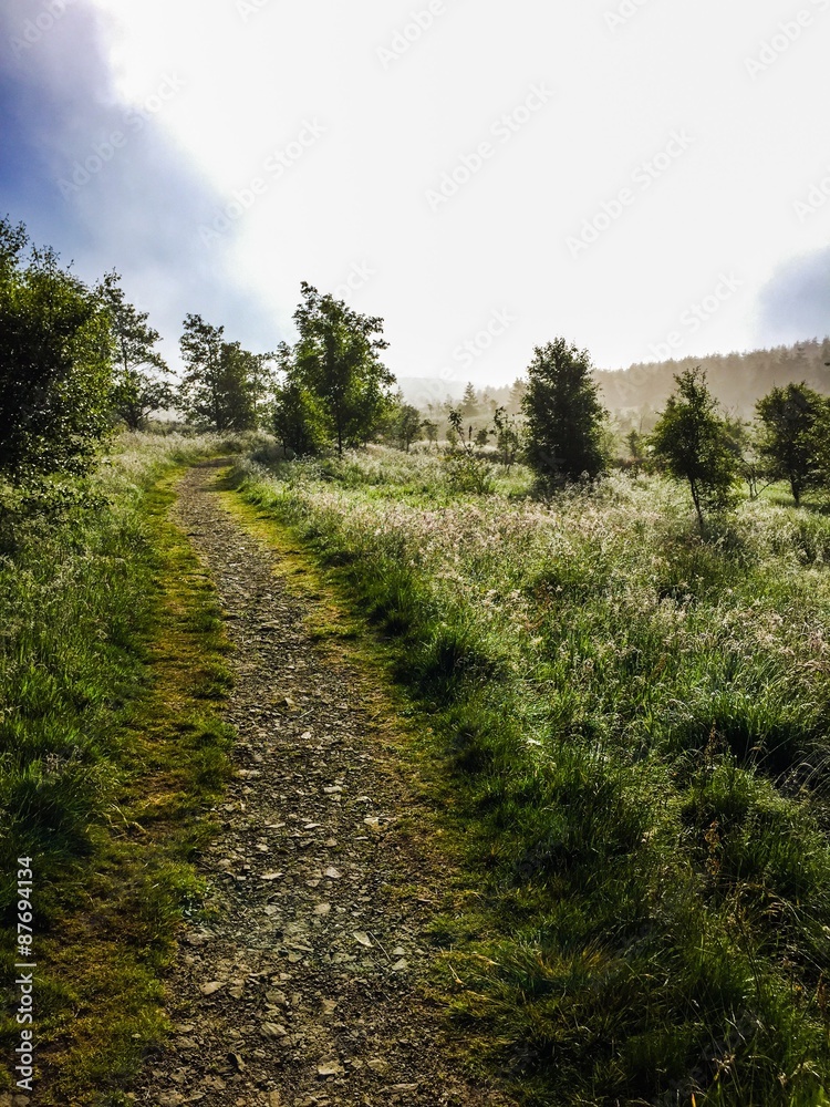 path in the country path in the country