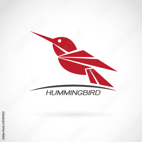 Vector image of an hummingbird design on white background