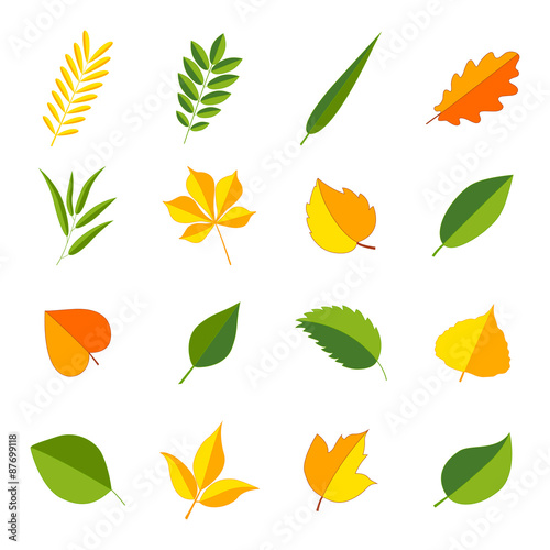 Set of colorful leaves, vector illustration