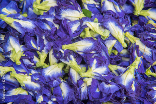Blue Butterfly Pea Flowers dry for Herbal Shampoo