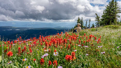 Woman Enjoying the view amid Alpine Flowers in the High Alpine of Tod Mountain in the Sushwap Highlands and part of the Sun Peaks ski resort in central British Columbia on a partly cloudy day photo