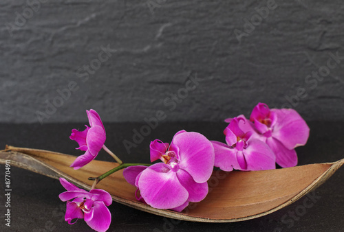 Fototapeta Naklejka Na Ścianę i Meble -  Orchidee in einer Palmblattschale