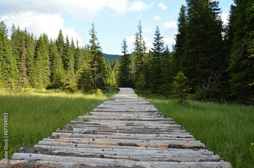 Wooden path