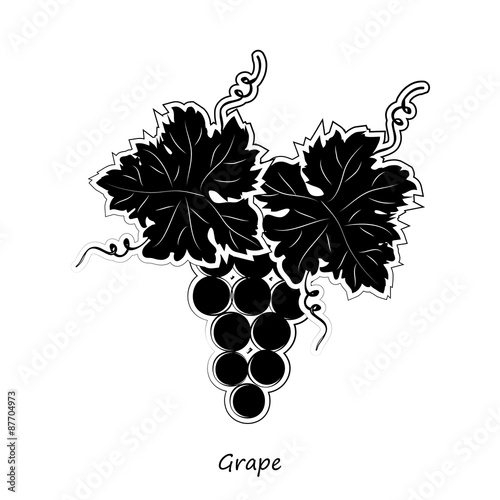 Grape silhouette outline vector