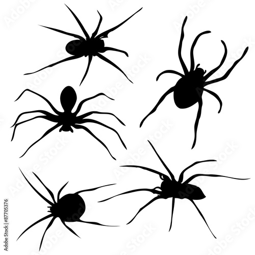 Spiders silhouette vector