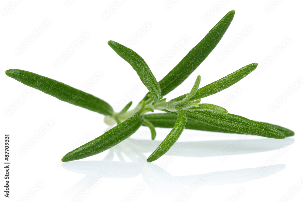 rosemary rosemary