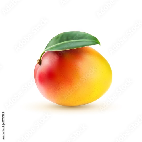 Mango realistic illustration on white backgroud.