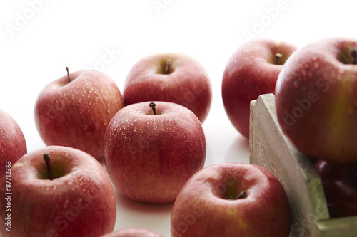 apples photo