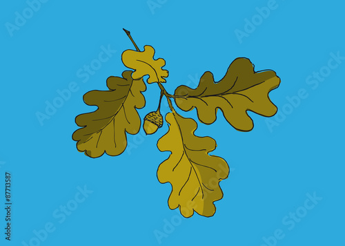 Eichenblätter Herbst