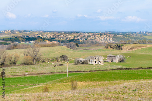 Landscape Rural sheeps