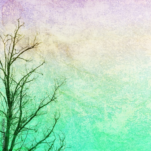 Bare branches on grunge background