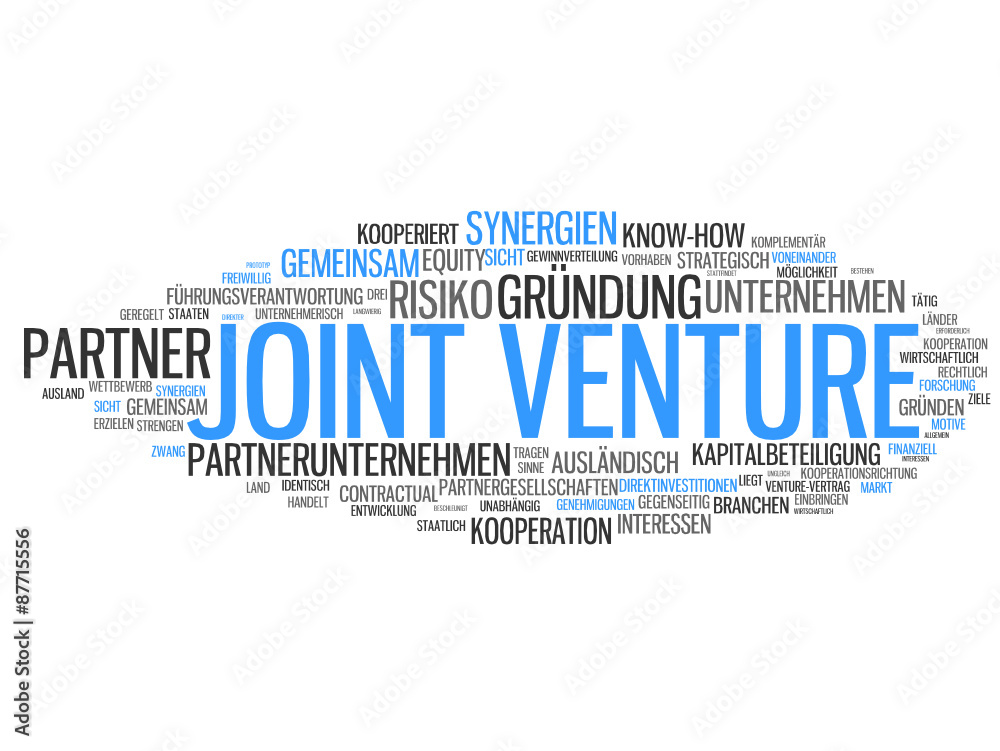 Joint Venture (Kooperation, Anwalt, Consultant)