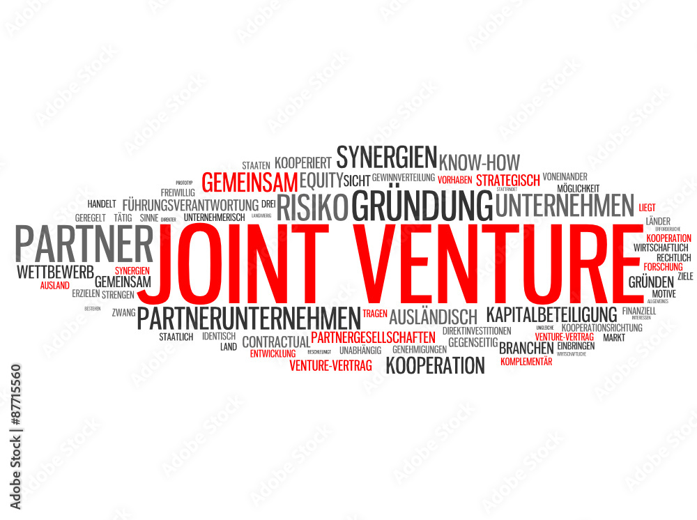 Joint Venture (Kooperation, Anwalt, Consultant) Joint Venture (Kooperation, Anwalt, Consultant)