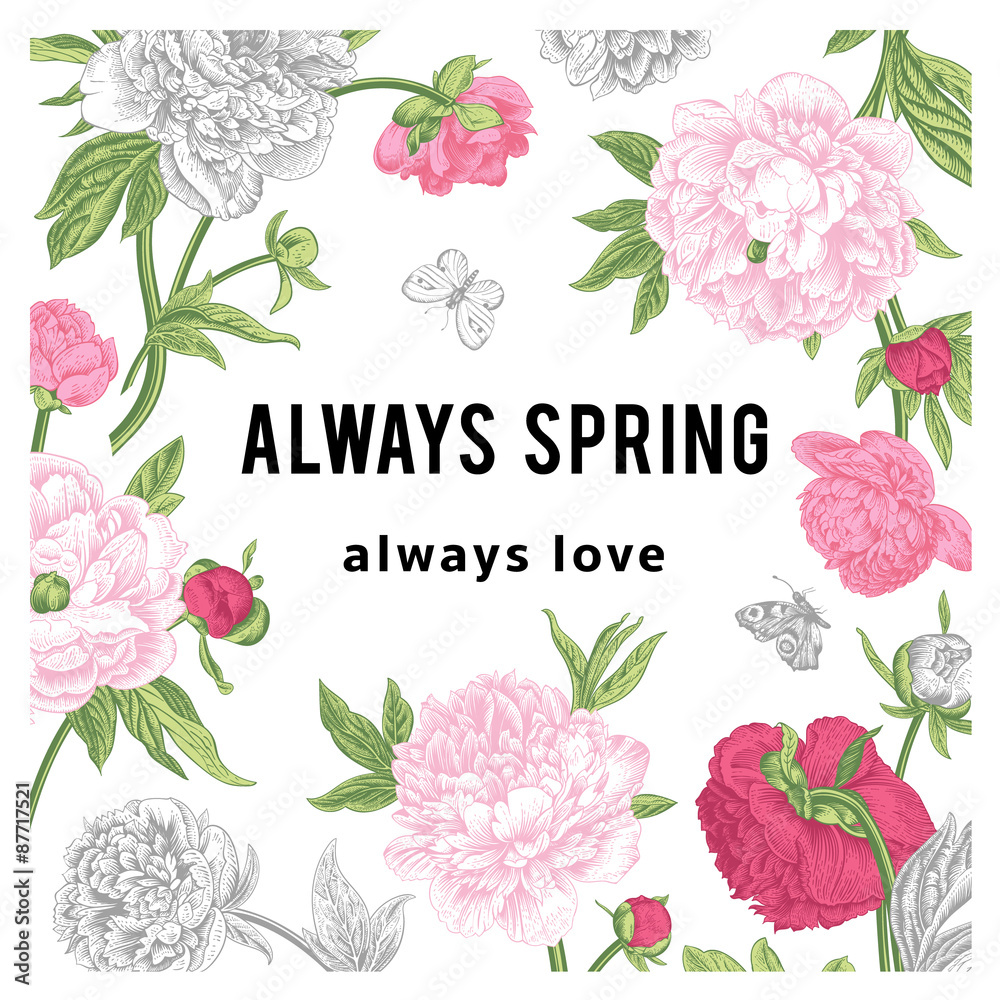 Vintage vector floral card. Peonies. Always spring