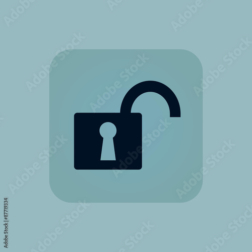 Pale blue unlocked icon